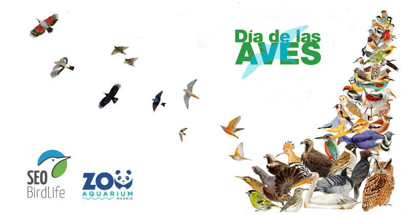 Celebra con nosotros el Día Mundial de las Aves