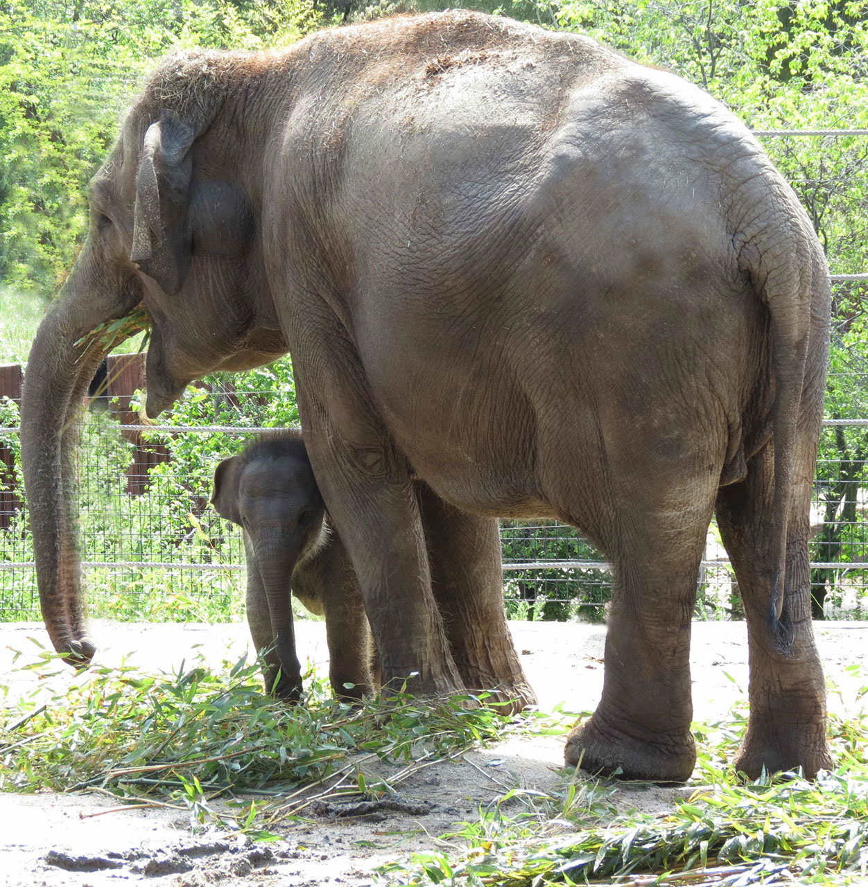 El alcalde de Madrid asiste a la reapertura de Zoo Aquarium de Madrid