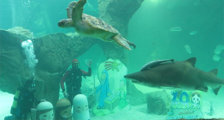 Zoo Aquarium de Madrid y Ecovidrio fomentan el reciclaje con un Belén entre tiburones