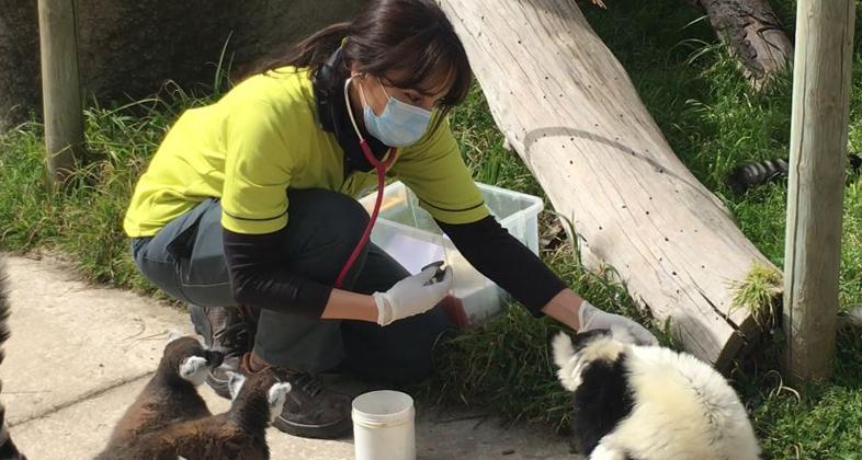 La vida continúa en Zoo Aquarium de Madrid con el trabajo de cuidadores y veterinarios