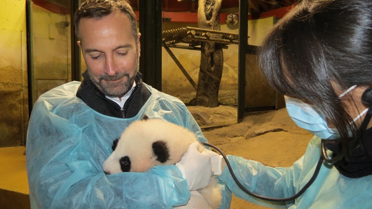 El Embajador de Estados Unidos, James Costos, visita las últimas crías del año de Zoo Aquarium de Madrid