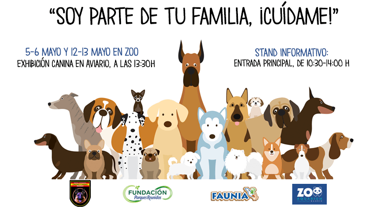 Faunia y Zoo Aquarium de Madrid acogerán jornadas de sensibilización sobre la tenencia responsable de perros