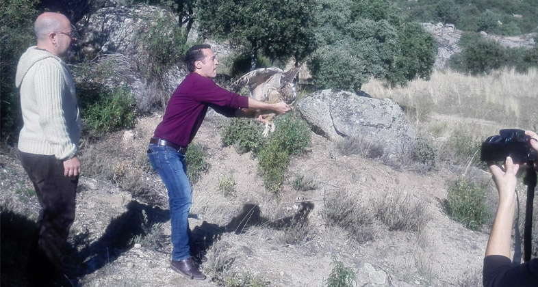 Brinzal y Zoo Aquarium de Madrid colaboran en la conservación de las rapaces nocturnas con la liberación de un búho real apadrinado por Jacob Petrus