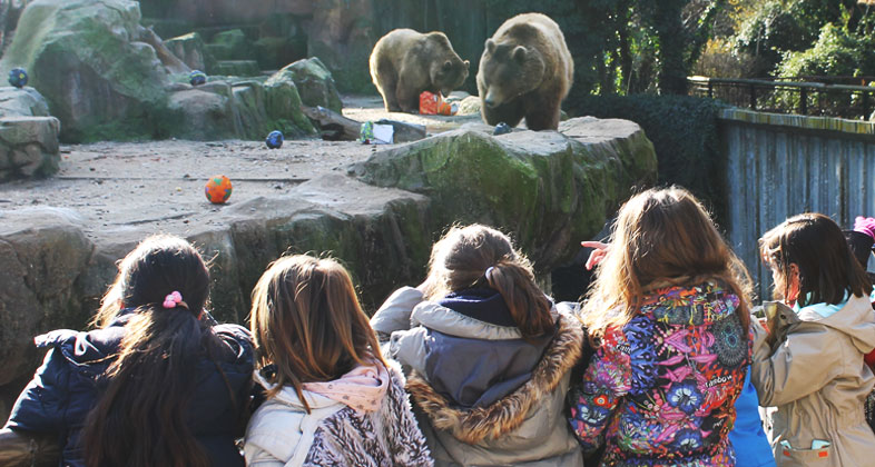 Las crías de 2016, protagonistas en los campamentos de Navidad de Zoo Aquarium de Madrid