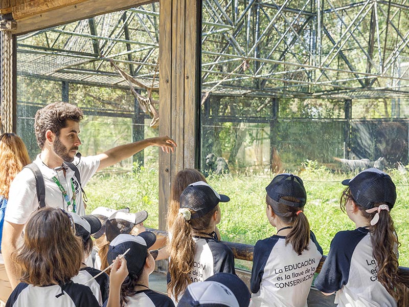 Dónde ver animales en Madrid: una aventura inolvidable