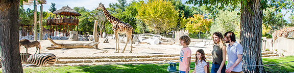 Gift tickets at Zoo Madrid