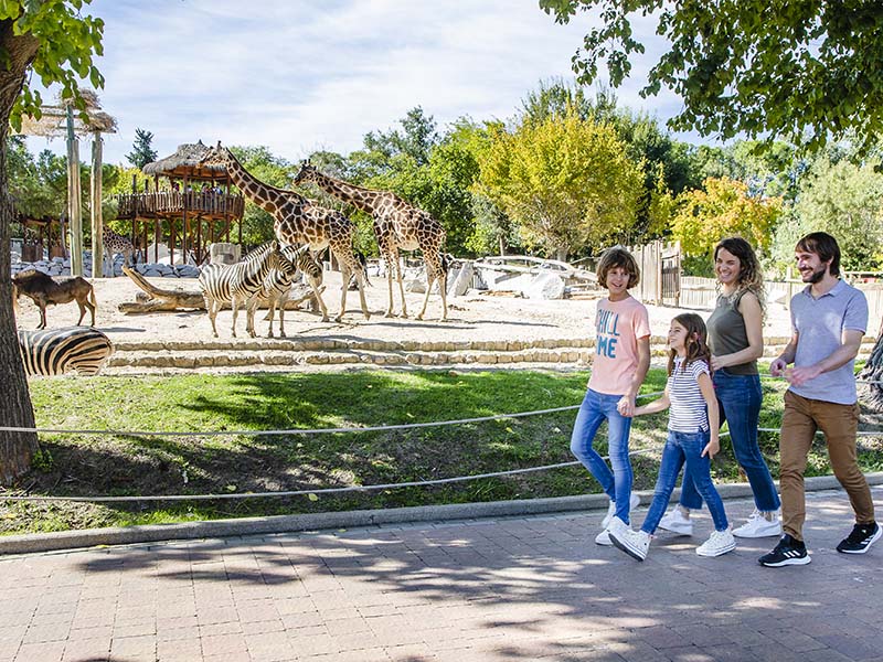 Talleres en familia en Zoo