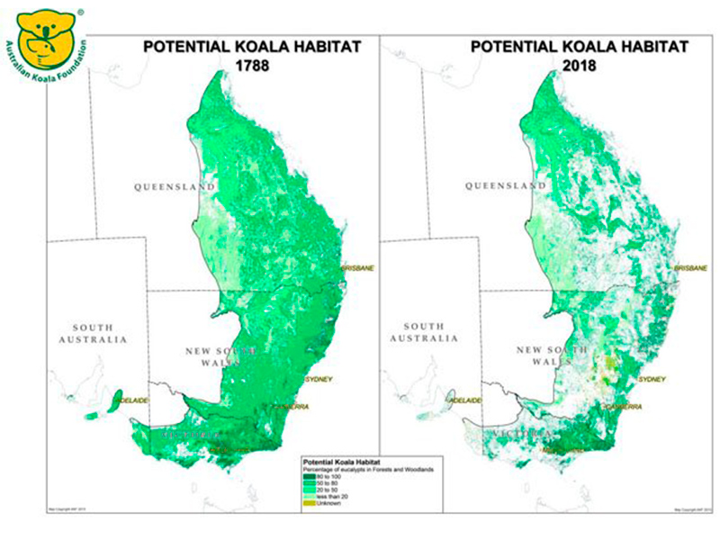 Koala maps.