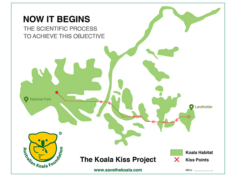 Koala Kiss Project