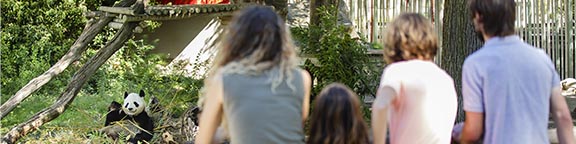 Visitas de grupos en Zoo Madrid