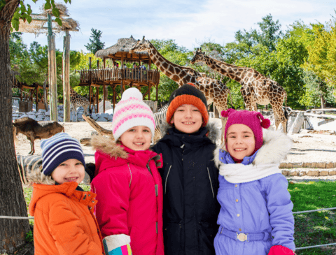 Highlight campas navidad  - 1