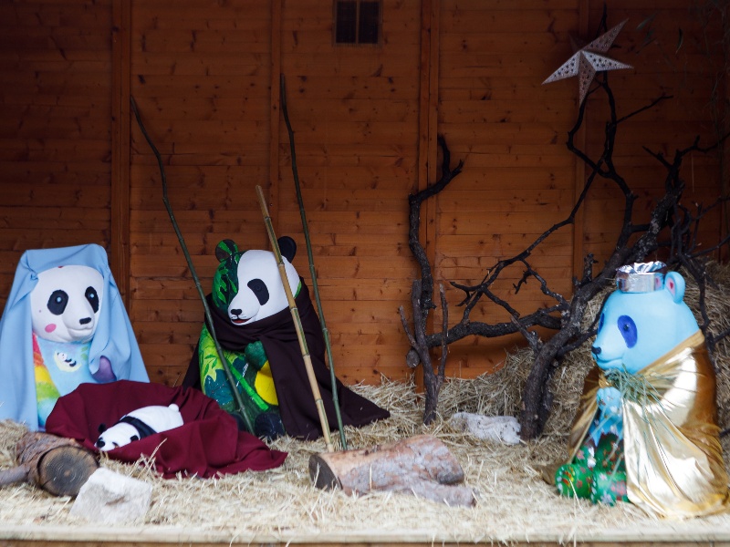 Campamentos de Navidad en Zoo