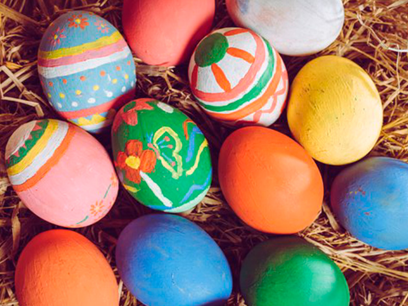 Elefantes en Zoo Madrid