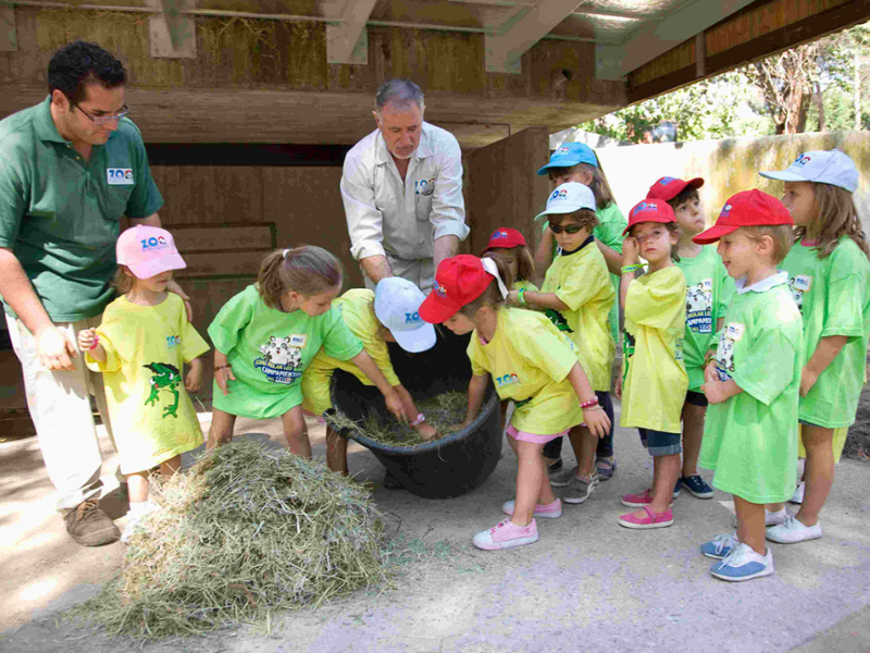 Elefantes en Zoo Madrid