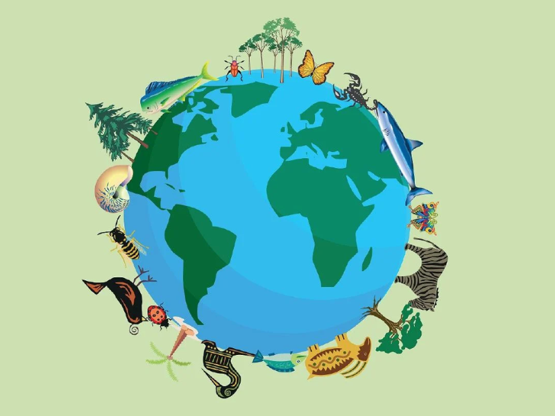 Cuidador por un día en Zoo