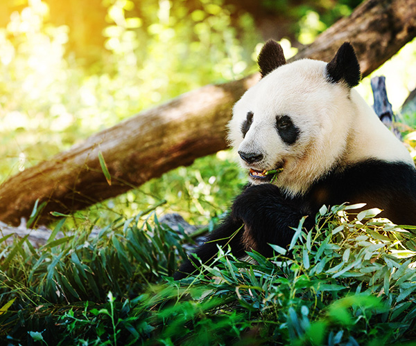 Talleres en familia en Zoo