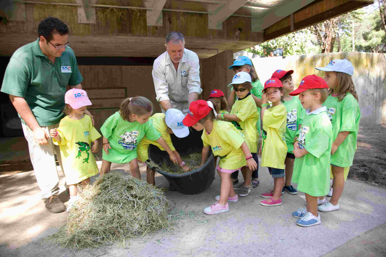 Cuidador en prácticas. Campamentos de Semana Santa en Zoo