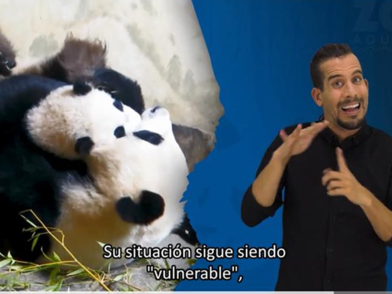 signoguia-persona - 2