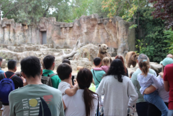 Talleres familiares en Zoo