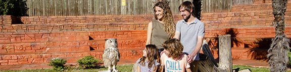 Planes para familia con niños de 8 a 12 años en Zoo Madrid