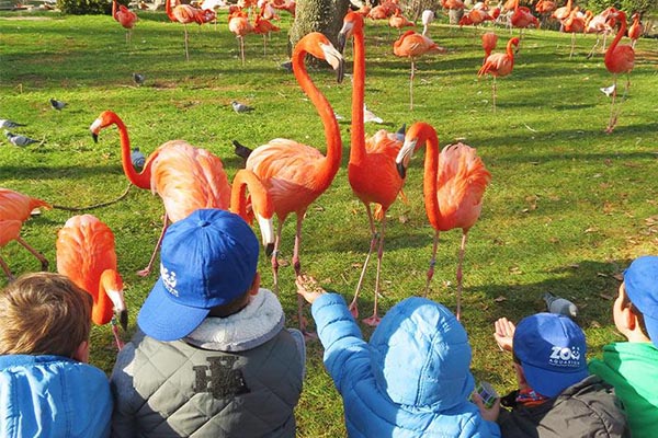 Planes para familia con niños de 0 a 7 años