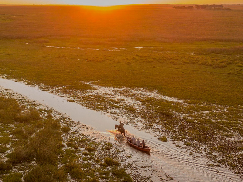 Gran Parque de Iberá, Argentina. Imagen cortesía de Rewilding Argentina.