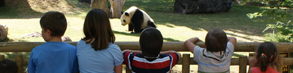 La casa del panda