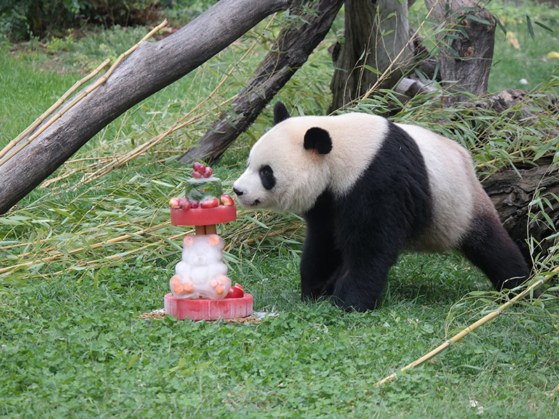 Hua Zui Ba