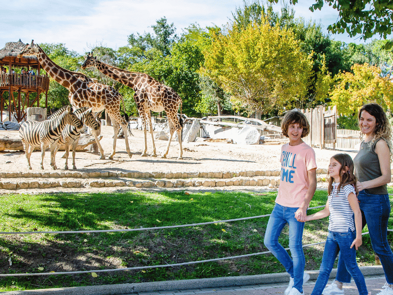 Familia en la Sabana en Zoo Madrid