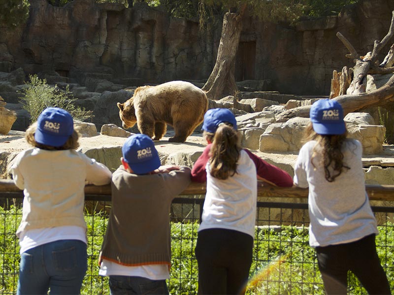 Grupos de más de 20 personas en Zoo