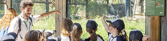 Colegios y grupos en Zoo