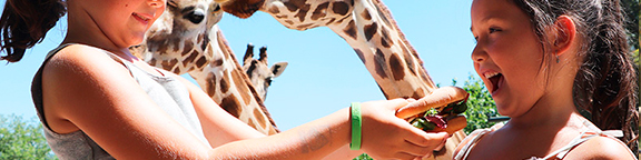 Entrada + Menú gratis por 26,95€ en Zoo